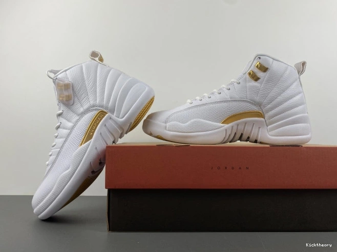 Kick Theory Air WMNS FD9101-007 Phantom Jordan 12 0814